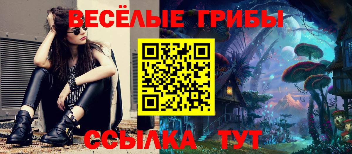 Галлюциногенные грибы MAGIC MUSHROOMS  Вход с VPN  Можайск 